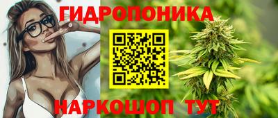 мескалин Камышлов
