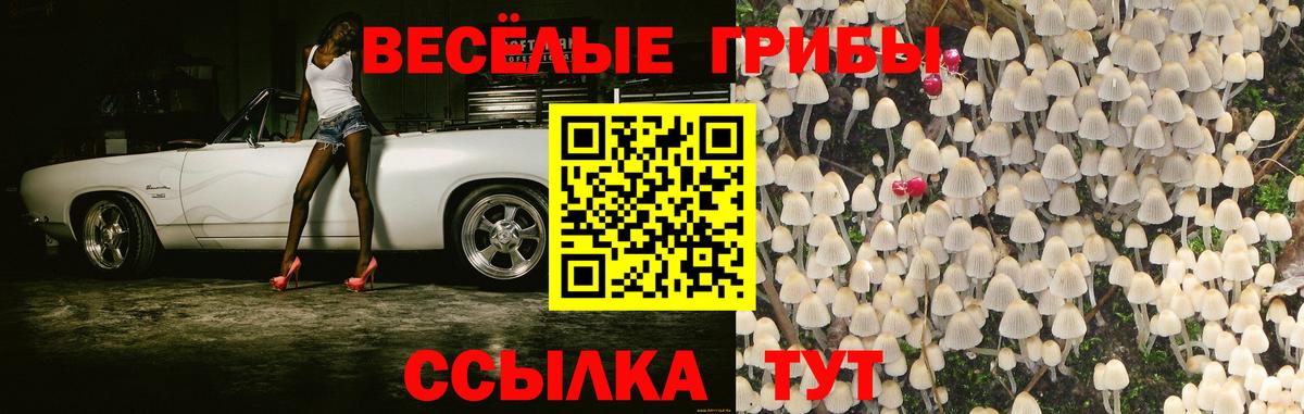 как найти закладки  Вход с VPN  Кудымкар  Псилоцибиновые грибы MAGIC MUSHROOMS 