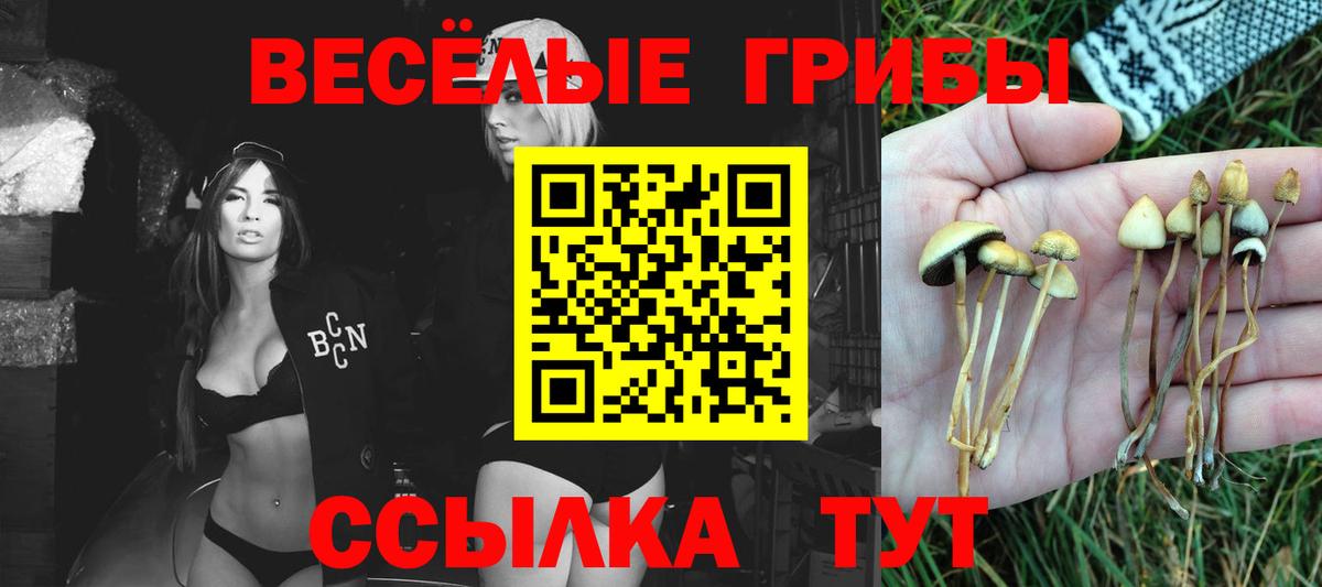 Галлюциногенные грибы MAGIC MUSHROOMS Кудымкар